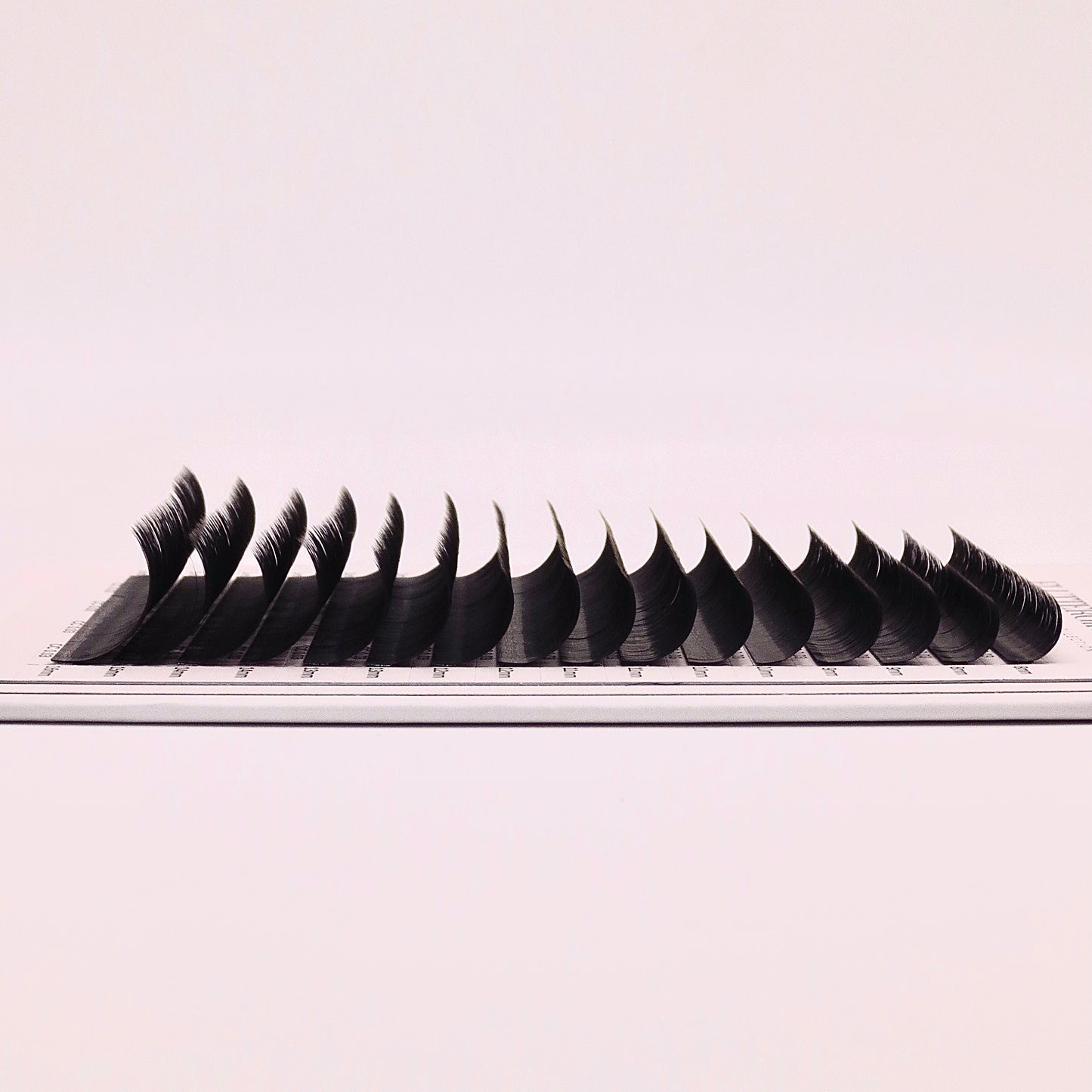 Cashmere Cloud .05 Lash trays